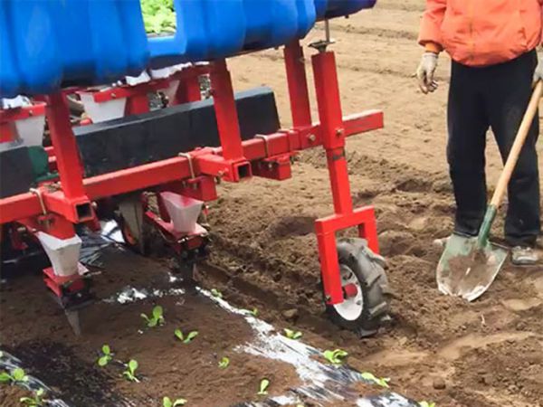 多行牽引式蔬菜移栽機